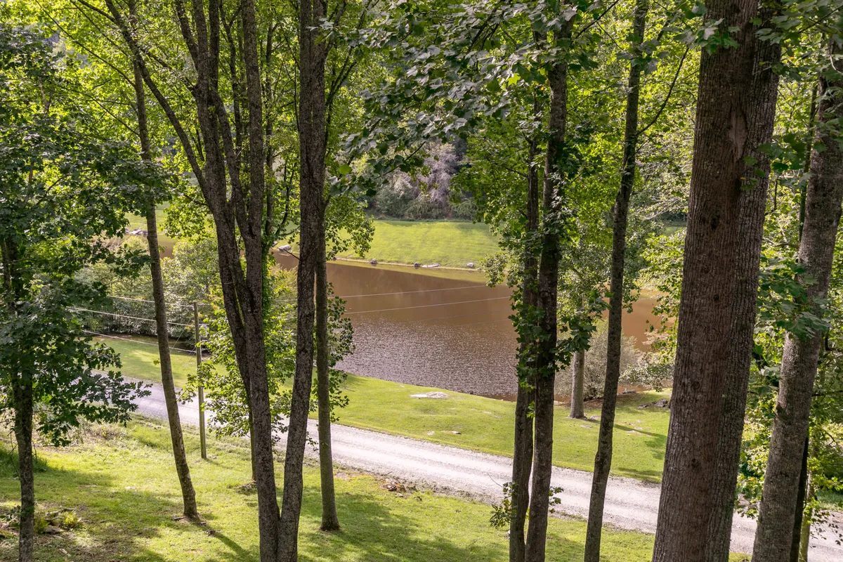 A peaceful scene of trees, a grassy area, and a water body bordered by a dirt road. The setting is idyllic for fishing, picnicking, and wandering along the lakeside, with a clear sense of privacy and quietude.